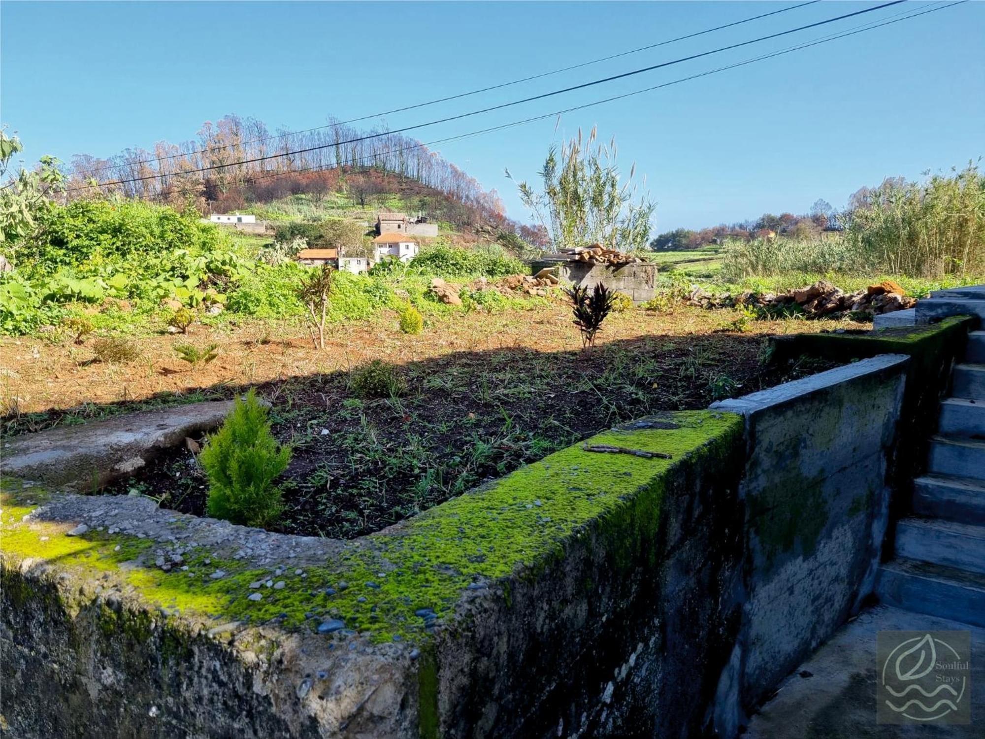 My Little Home Cottage 2 Bedrooms - Soulful Stays Porto Moniz Zewnętrze zdjęcie